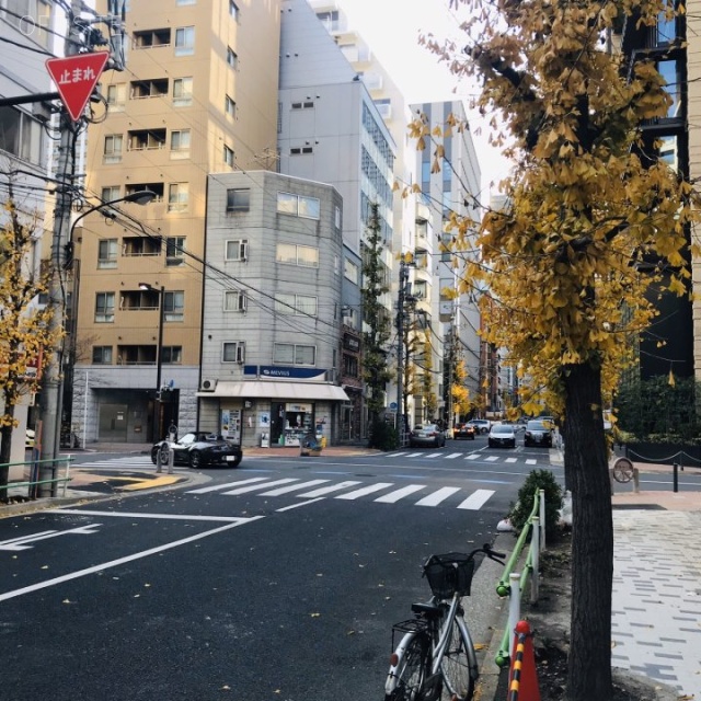 田村町 Shinshodoh BLDG　ビル前面道路