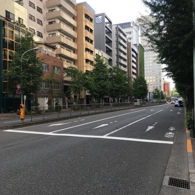 シティ音羽 ビル前面道路