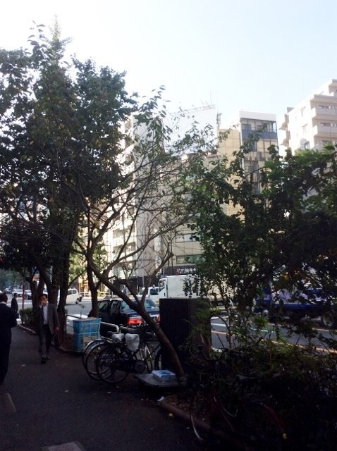 沖村ビル ビル周辺道路