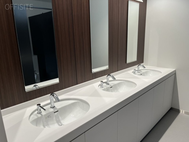 明治薬科大学剛堂会館 洗面