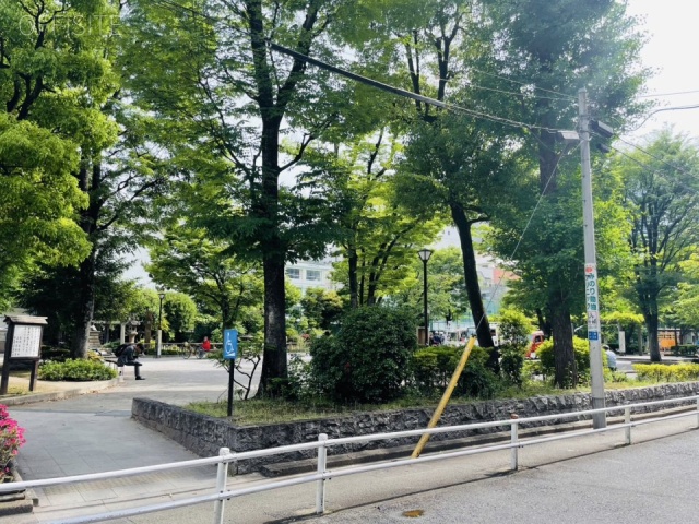 新星ビル　前面に公園