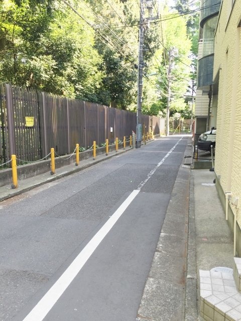 鈴木ビル ビル前面道路