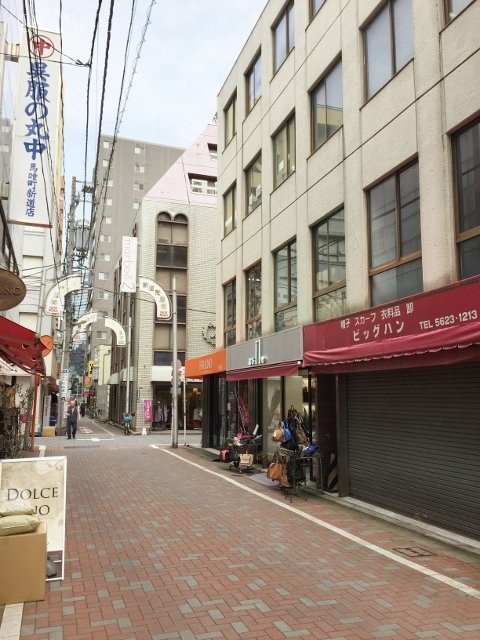 シムラビル ビル前面道路