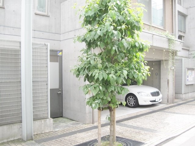 西麻布CO-HOUSEビル 画像
