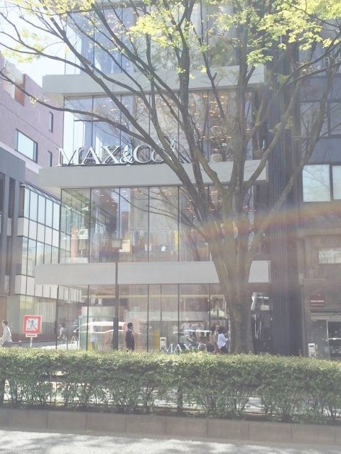 MAX&Co.ビル 画像
