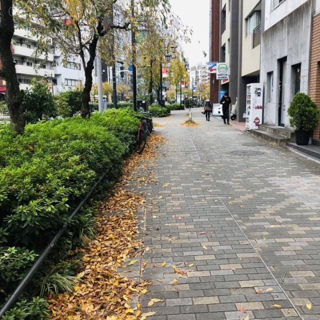 ヤマダビル ビル前面道路