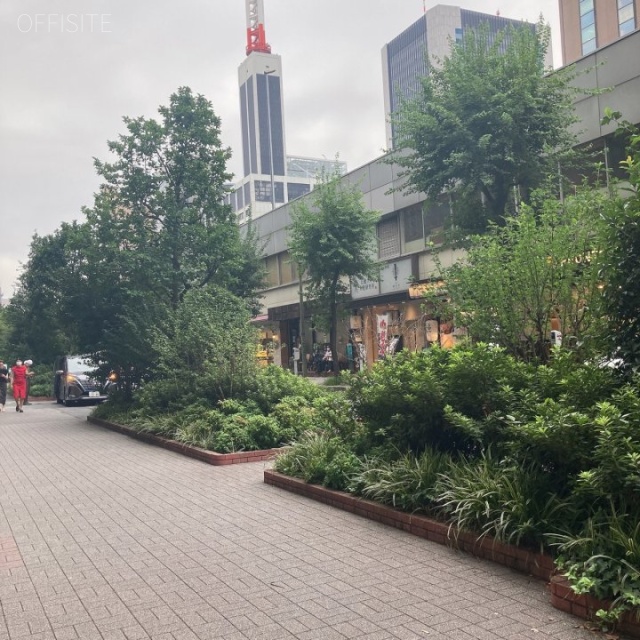 Daiwa銀座ビル ビル前面道路