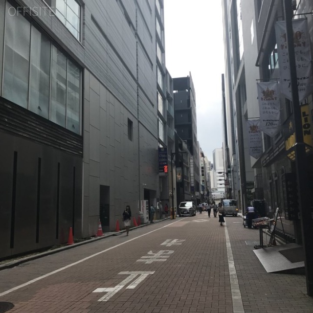 STRATAGINZAビル ビル前面道路