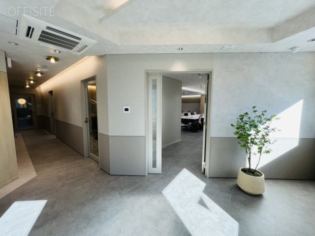 THE PORTAL 田町(旧 藤ビル) 10階 56.19坪　内装