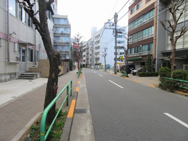 ヴィラロイヤル三番町 ビル前面道路