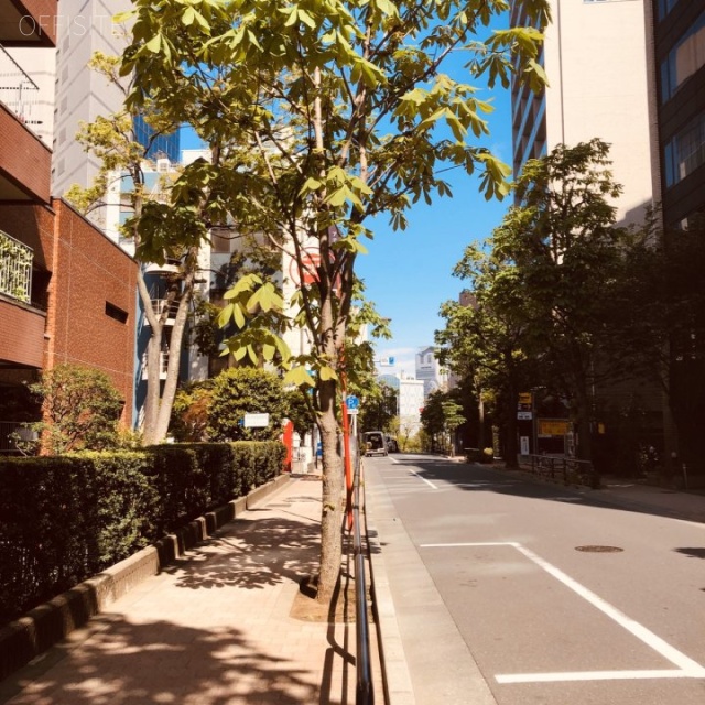 犬塚ビル(御茶ノ水ロイヤルハイツ) ビル前面道路