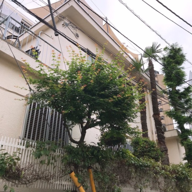 笄ハイツ 外観