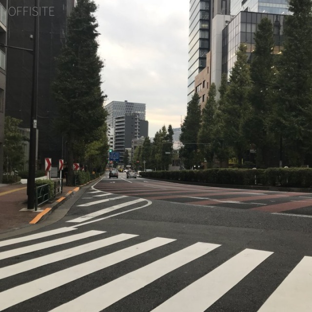 PMO御茶ノ水 ビル前面道路