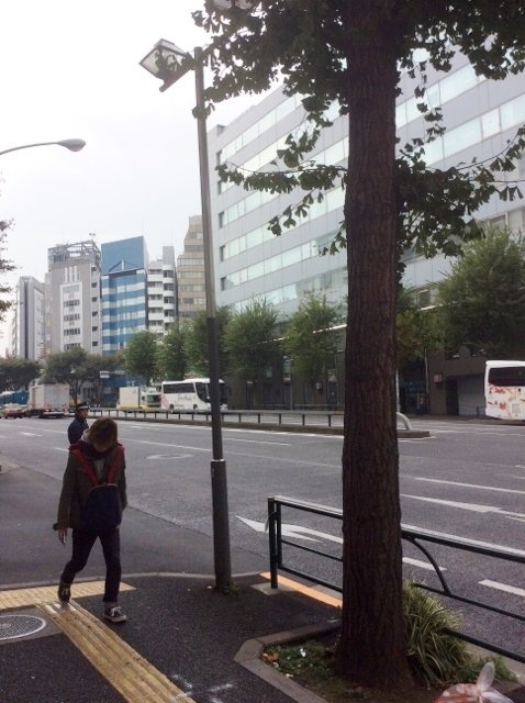 博雅(ハクガ)ビル ビル周辺道路
