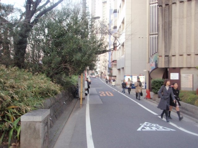 トリビル 画像