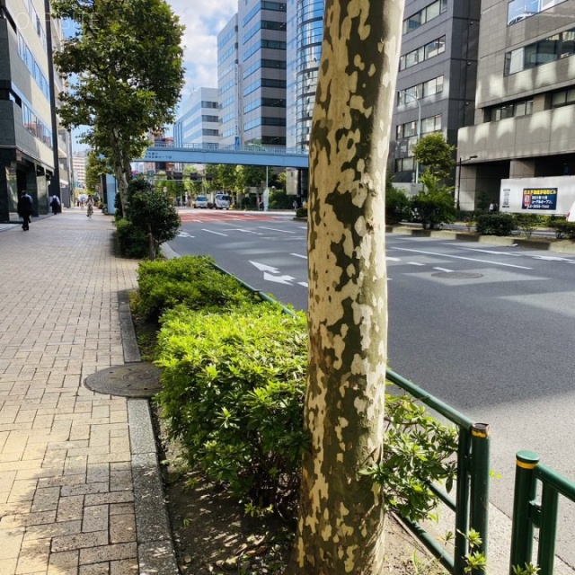 茅場町ファーストビル ビル前面道路