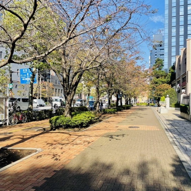 東京パークタワー 前面歩道