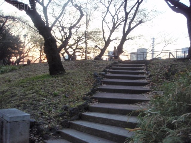 トリビル 画像