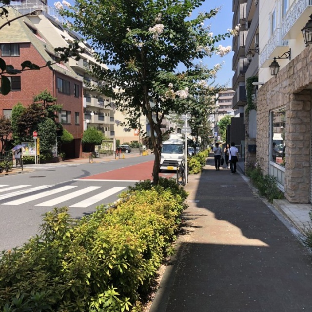 松濤ビル ビル前面道路