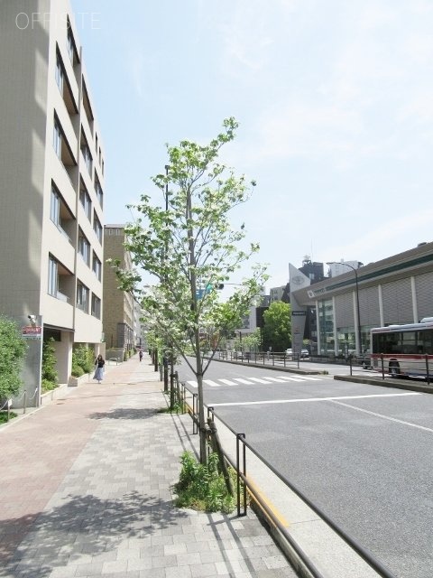 イグレック　IMG_5498 (480x640).jpg