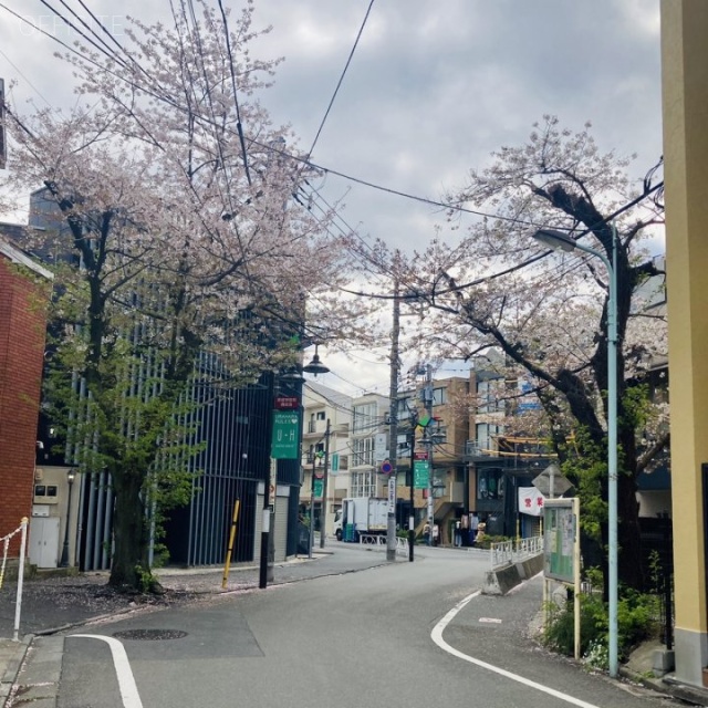 パルク表参道 ビル前面道路