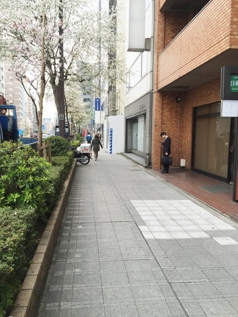 メローナ日本橋 ビル前面道路