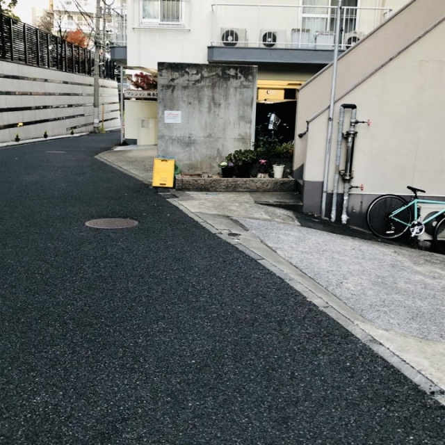 フローラⅡ ビル前面道路