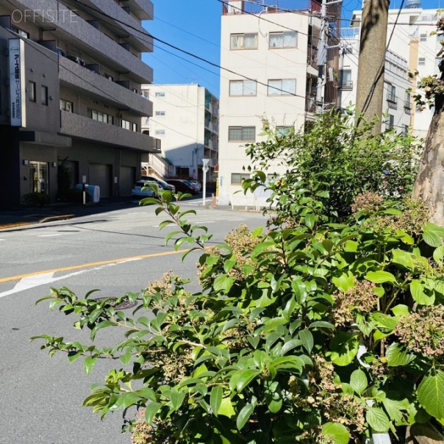 ノイエヤマザキ ビル前面道路