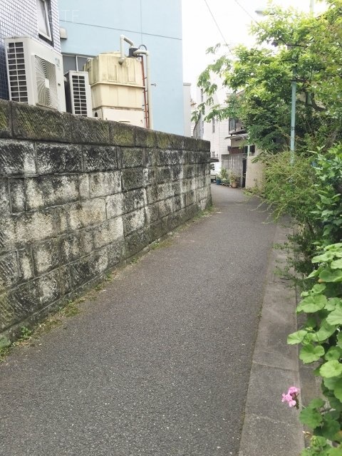 矢作ビル ビル前面道路
