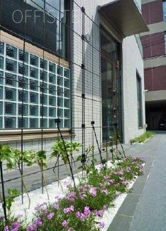 Felie.Sビル　全画面キャプチャ 20140509 161846.bmp.jpg