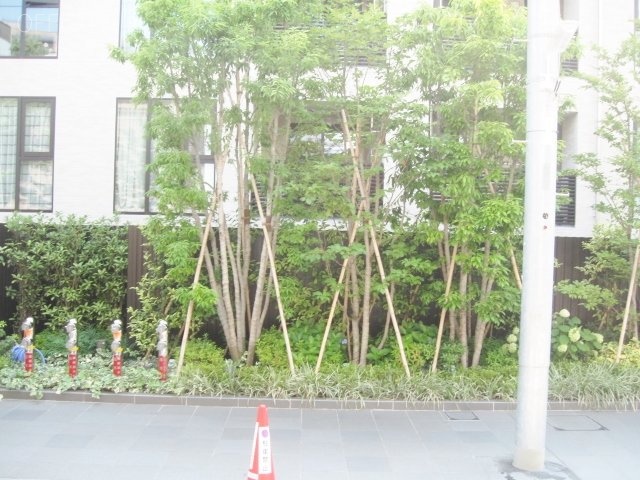 コンフォート南麻布ビル 画像