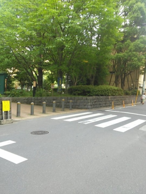 ハイパーク日本橋　ビル前面道路