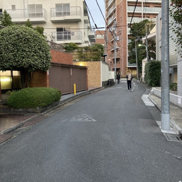 パレドール原宿ビル ビル前面道路