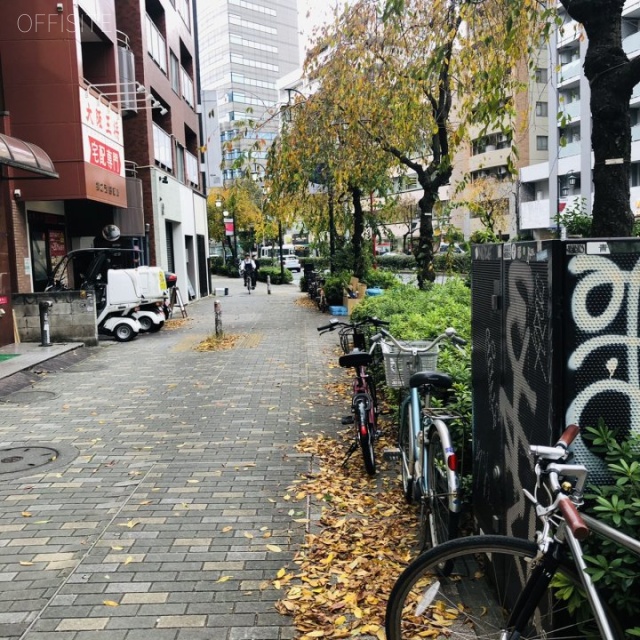 ヤマダビル ビル前面道路