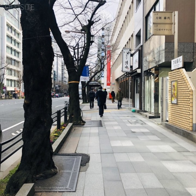 九段シルバーパレス ビル前面道路