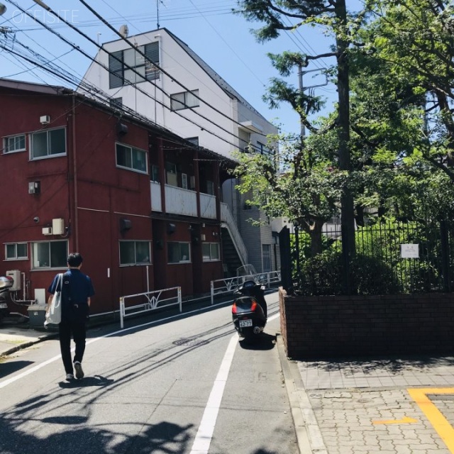 TSビルアネックス ビル前面道路