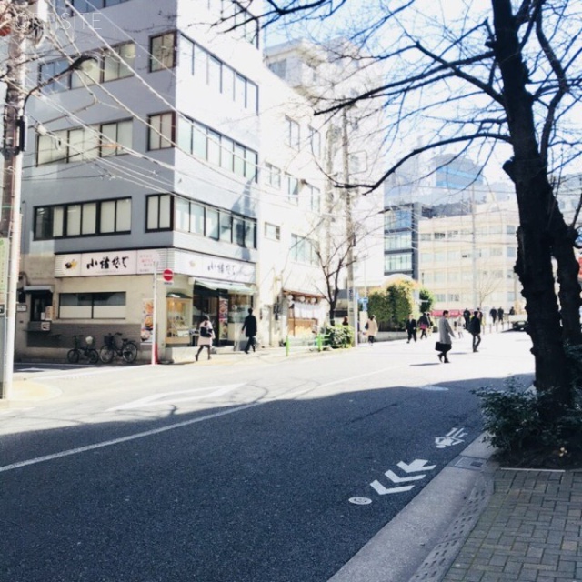 大野ビル ビル前面道路