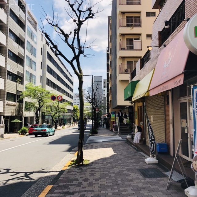 桔梗ライオンズマンション平河町 ビル前面道路