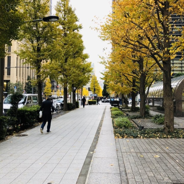 大手センタービル ビル前面道路