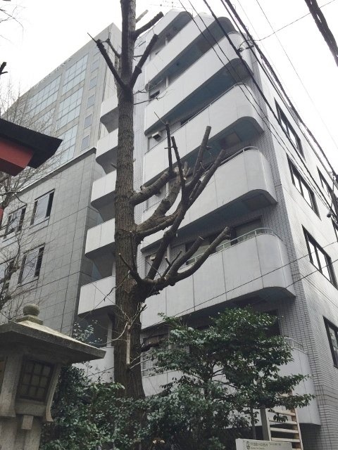 TYビル 画像
