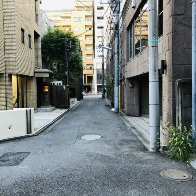 TRD南青山ビル ビル前面道路