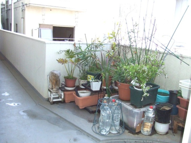 久保町共同ビル DSCF0951.JPG