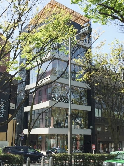 MAX&Co.ビル 画像
