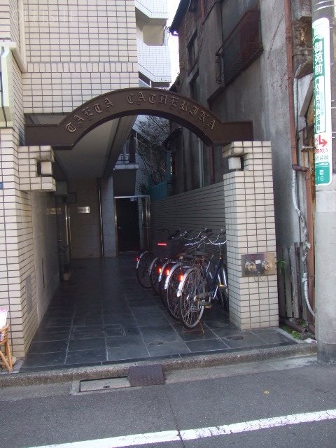テェアーカテリーナ　イメージ
