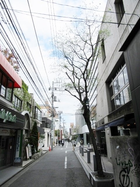 萬楽庵ビルⅠ 周辺