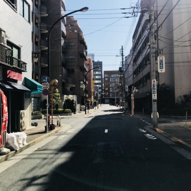 亀田ビル ビル前面道路