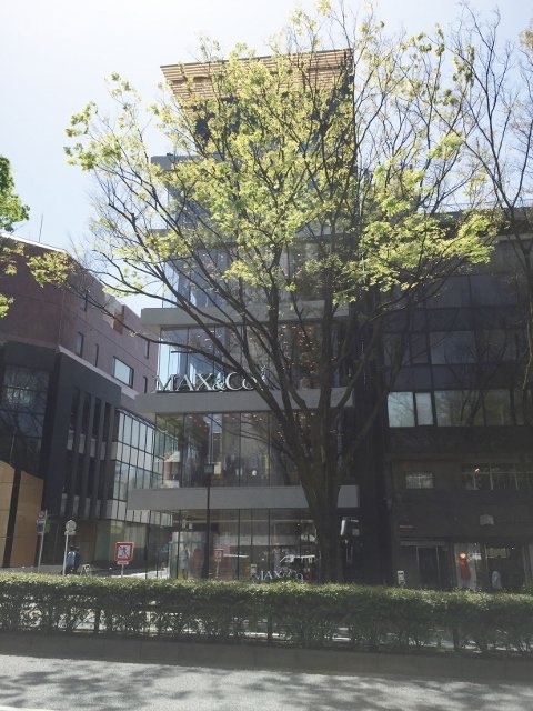MAX&Co.ビル 画像