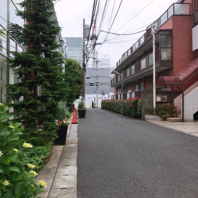 程塚ビル ビル前面道路