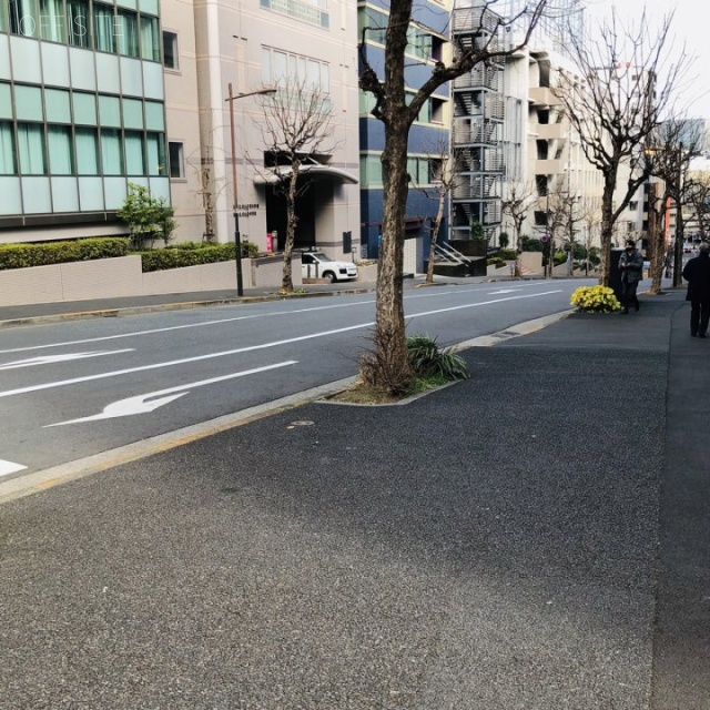 メゾン萬六 ビル前面道路