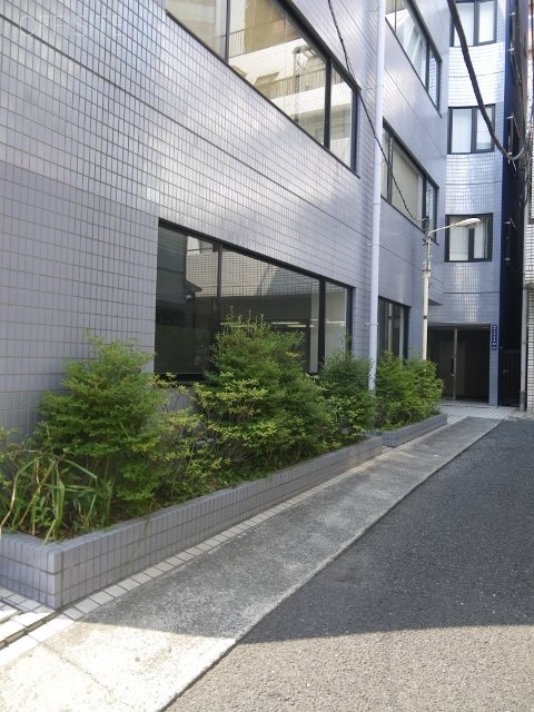 岩波ビル 画像